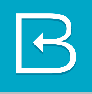 Biteflip review Blue